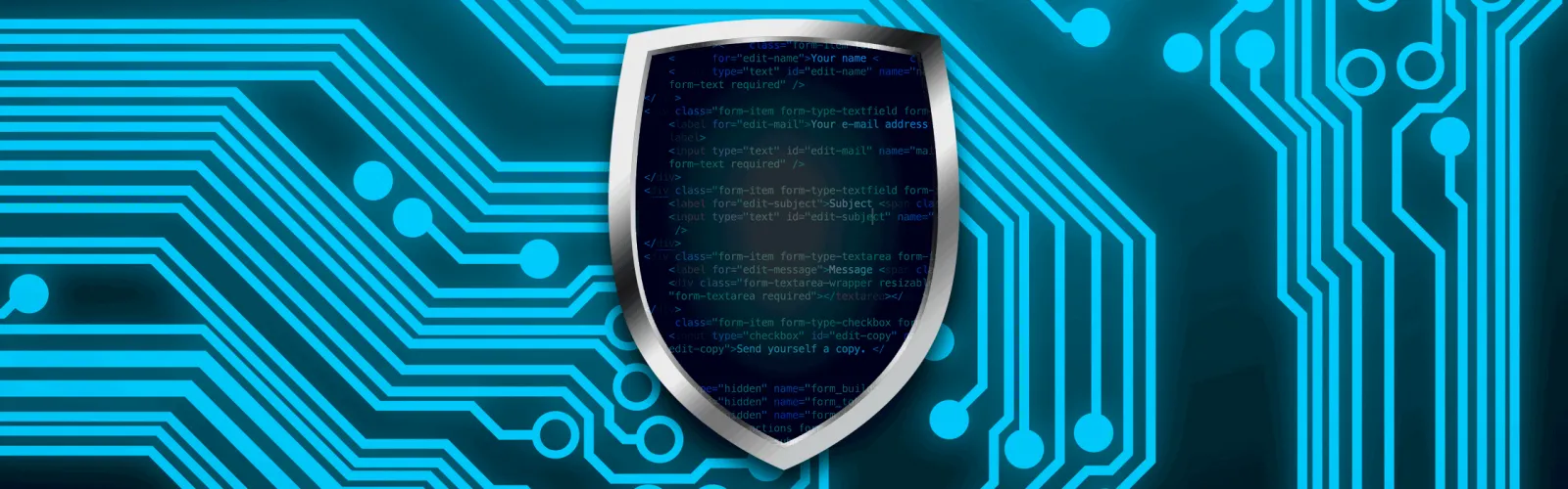 A digital shield protecting website code